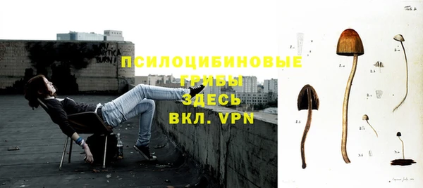 спиды Абаза