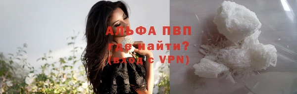 спиды Абаза