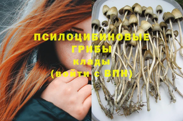 герыч Абинск