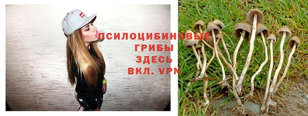 спиды Абаза