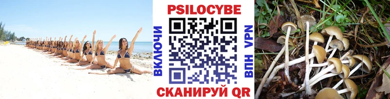 Псилоцибиновые грибы Psilocybine cubensis Духовщина